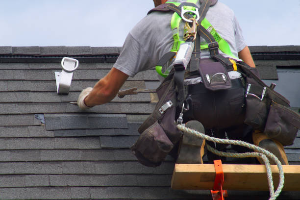 Best Residential Roof Replacement  in Saranac, MI
