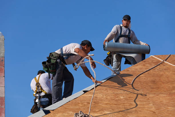 Best Roof Restoration Services  in Saranac, MI