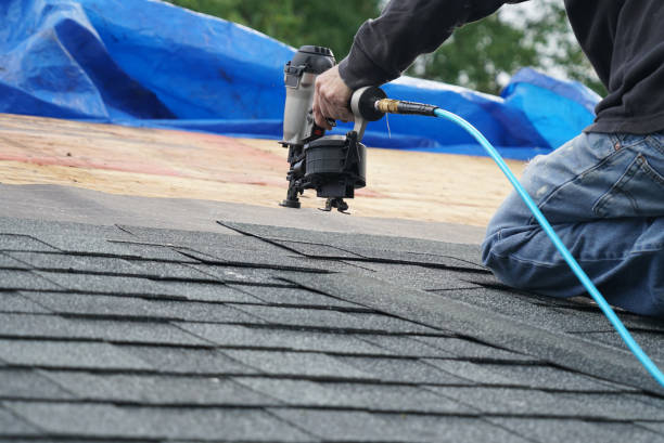 Best Roof Waterproofing Services  in Saranac, MI